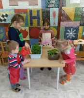 Уход за растениями Уход за растениями.
