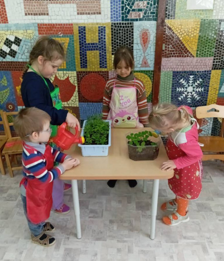 Уход за растениями Уход за растениями.